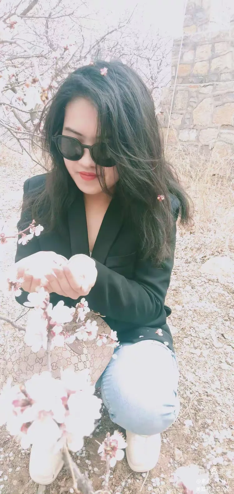 杏花如云——泉子杏花节